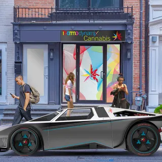 Thermodynamix Cannabis - 178 Davenport Rd