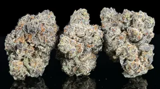 Third Coast Supply Co. Smoke Shop