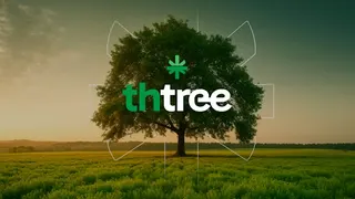 THTree Dispensary