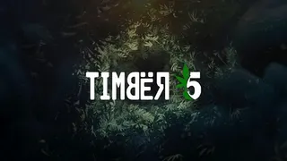 Timber 5 Dispensary