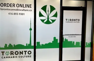 Toronto Cannabis Culture