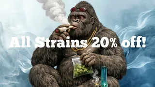 Total Green LLC