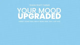 Tradecraft- Lancaster