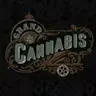 True North Cannabis Co. - St. Catharines