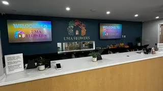 Uma Flowers - Waltham