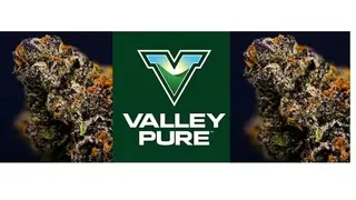 Valley Pure - Lindsay
