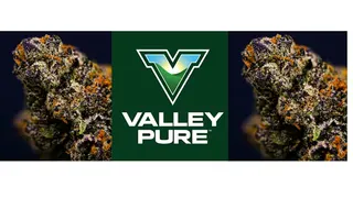 Valley Pure - Woodlake