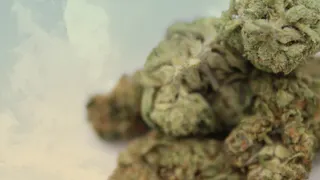 Verde Smoke and Vape Shop