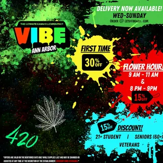 Vibe Ann Arbor