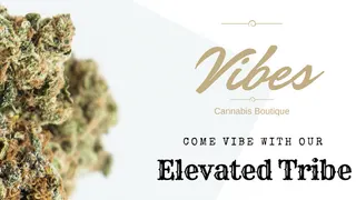 Vibes Cannabis Boutique