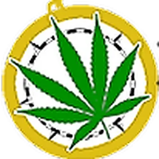 Discovery Cannabis