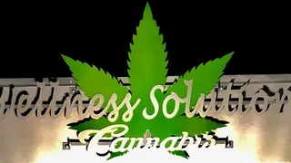 Wellness Solution