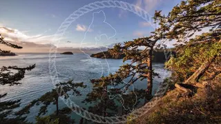 Whidbey Island Cannabis Company