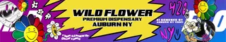 Wild Flower Dispensary