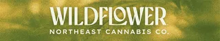 Wildflower - Northeast