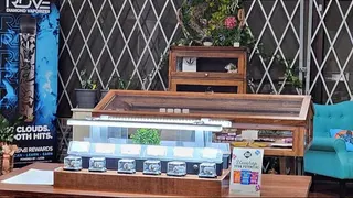 Wildflower Dispensary