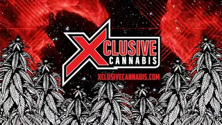 Xclusive Cannabis - Federal Heights