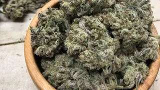 Yachats Cannabis Company