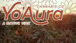 Yo'Aura
