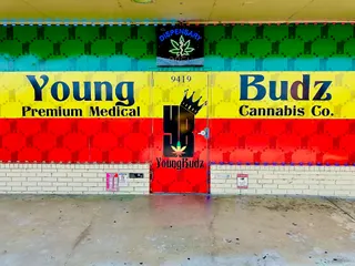 Young Budz Premium Medical Cannabis Co.